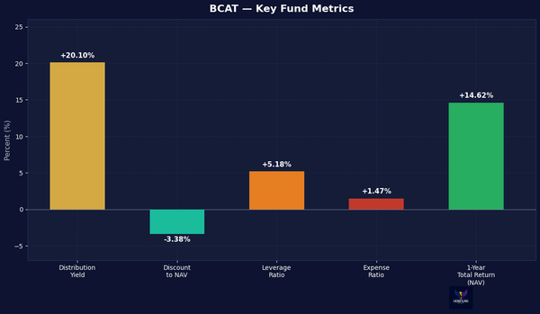 A 20% Yield From BlackRock With A Built-In Expiration Date