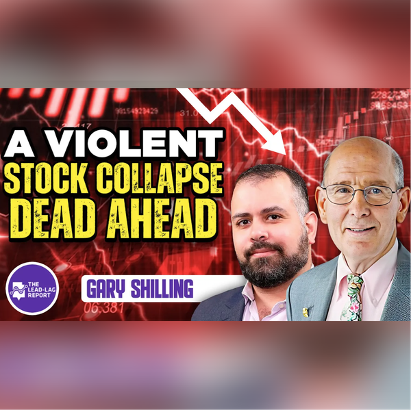 Understanding the Turbulence of Financial Markets with Gary Shilling