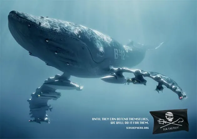 Sea Shepherd: Vida marinha bélica