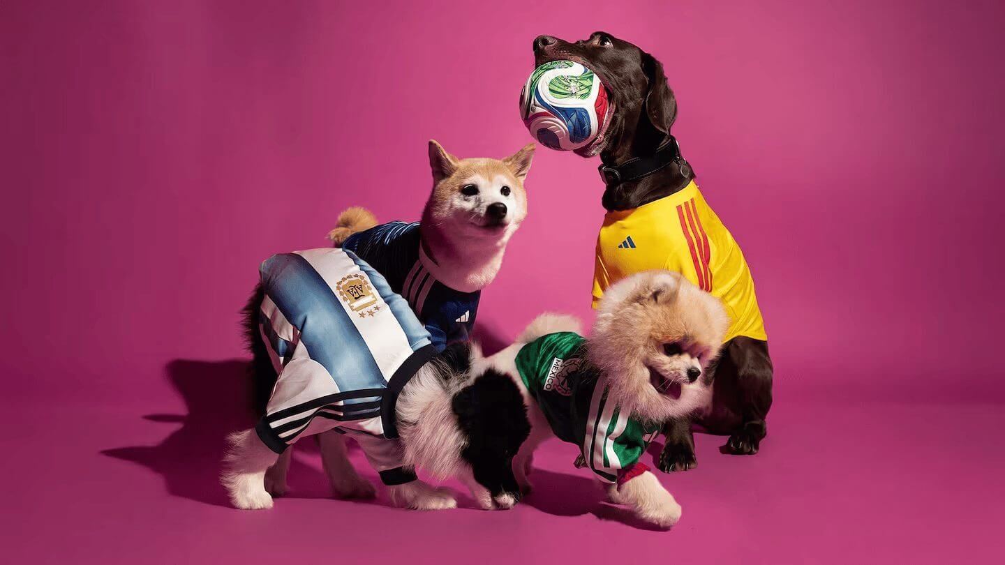 Adidas lança camisas de seleção pra cachorro (e por trás do produto fofo tem um mercado de US$ 270 bilhões)