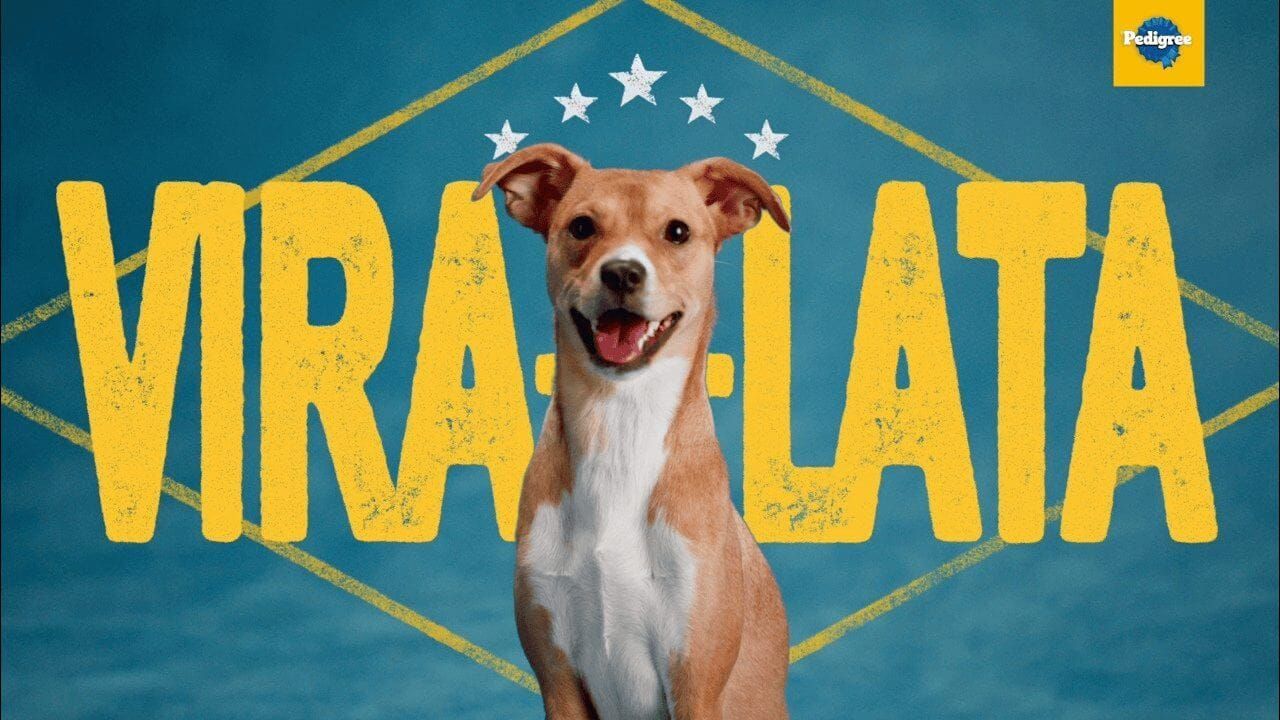 Pedigree lança campanha "Vira-Lata" como evolução da plataforma Caramelo