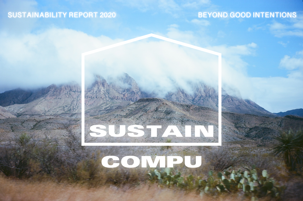 Our 2020 Sustainability Report
