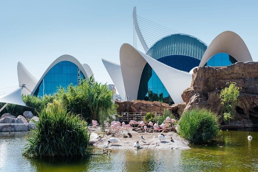 Foto do Oceanogràfic | Cidade das Artes e Ciências, em Valência, na Espanha.