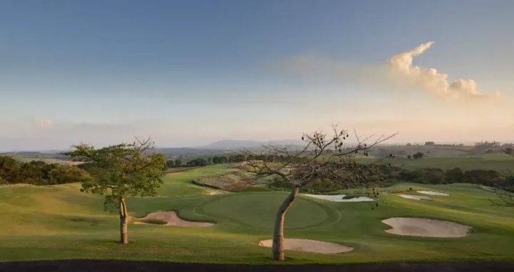 Vista de um campo de golfe com árvores.