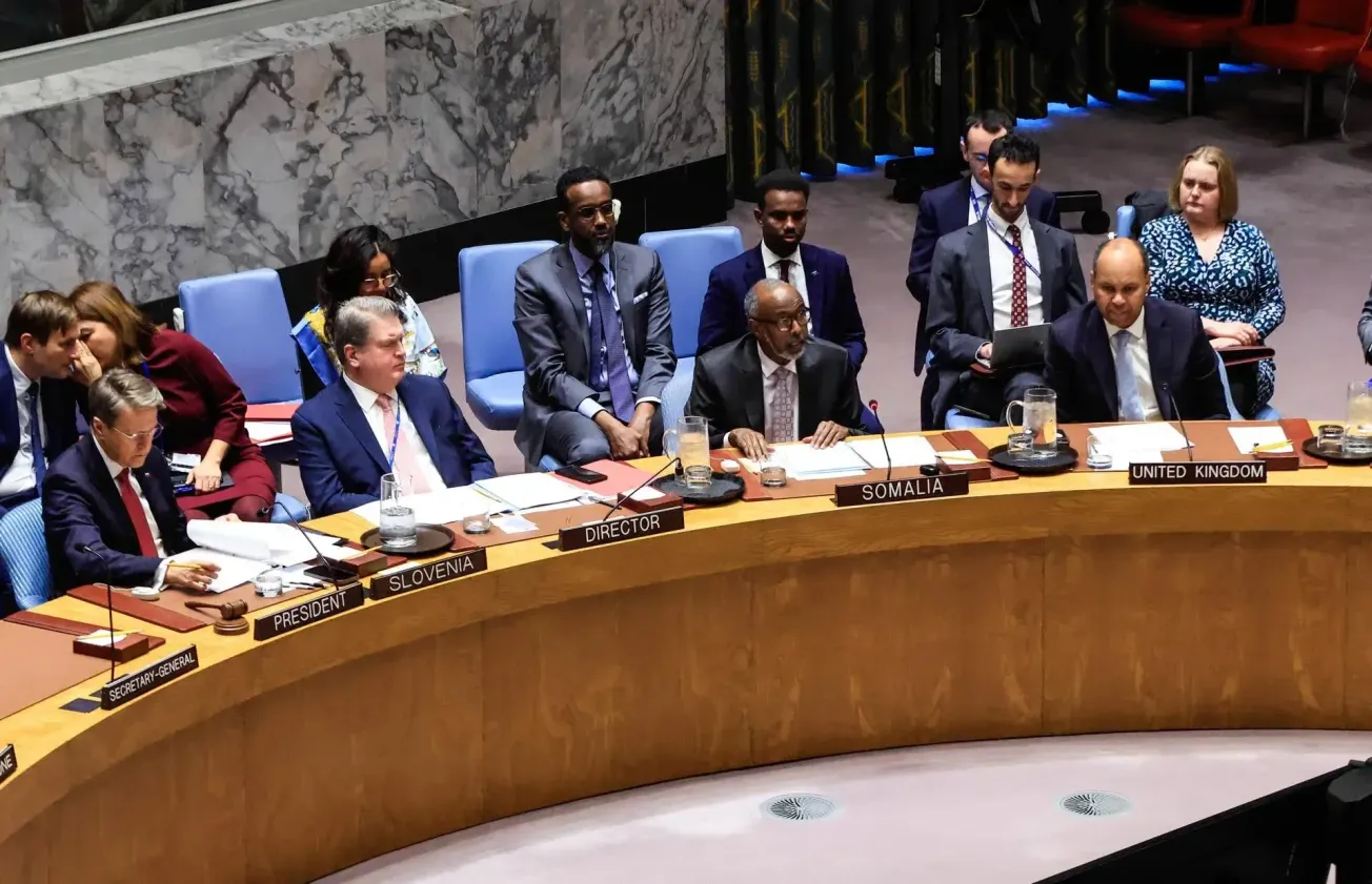 What Are Diplomats Telling Somalia’s Government and the Opposition?