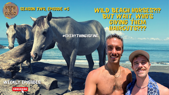 Pavones: Our Favorite Beach in Costa Rica (so far)!