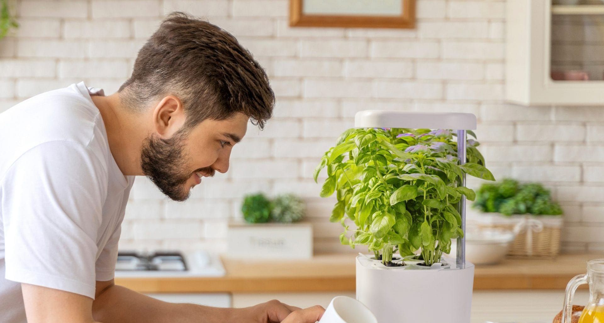 Plant algorithms can make gardening “cool” again