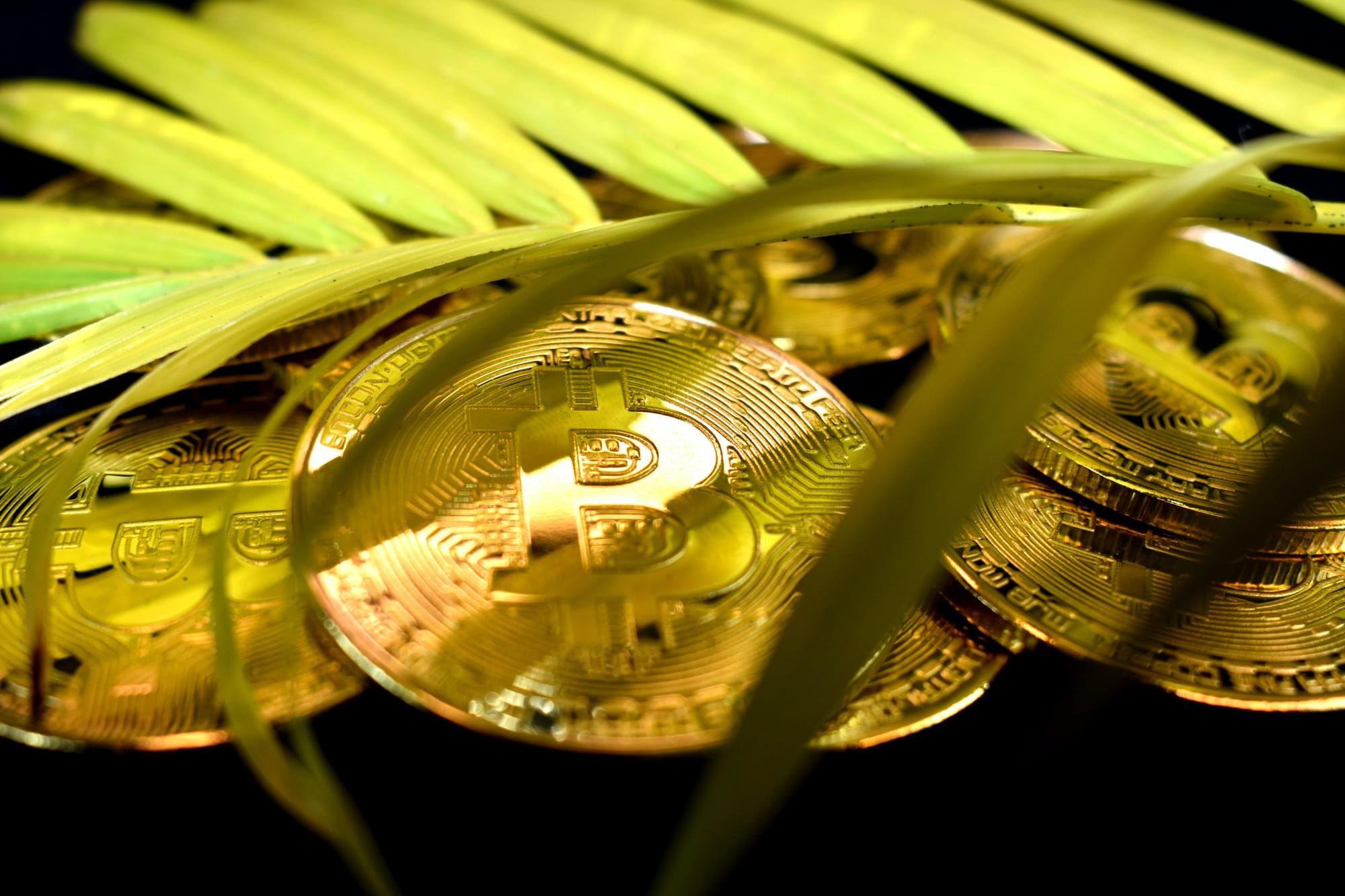 5 things you need to know about sustainable cryptocurrency