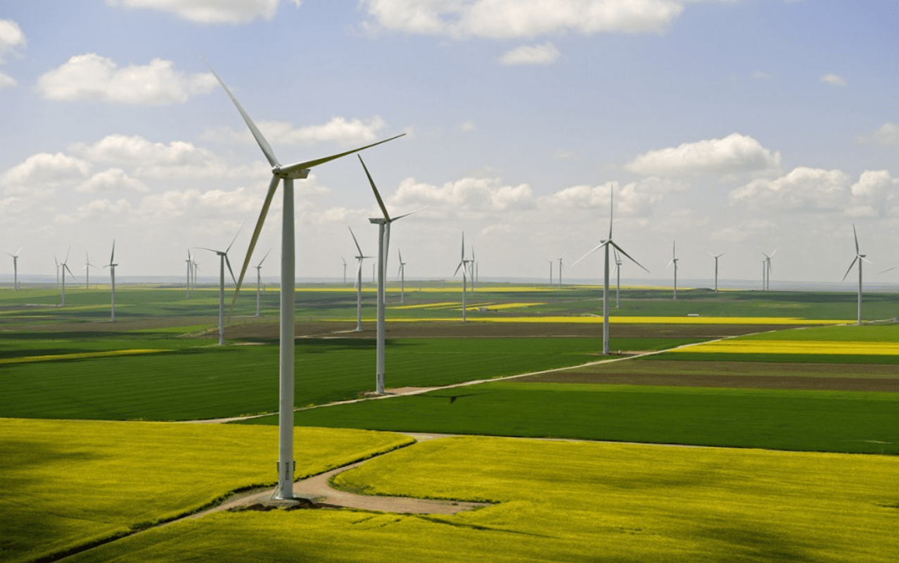 Wind farm Fantenele Cogealac Romania