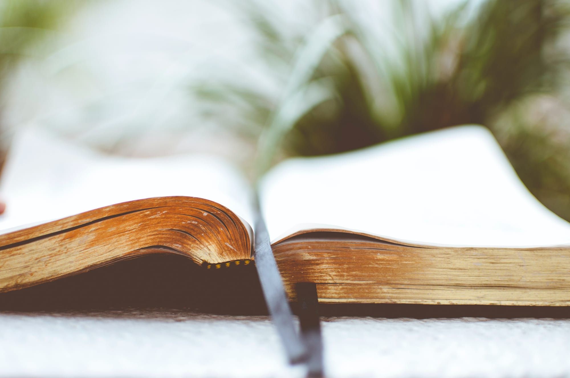 Sustainability books Unsplash Ben White
