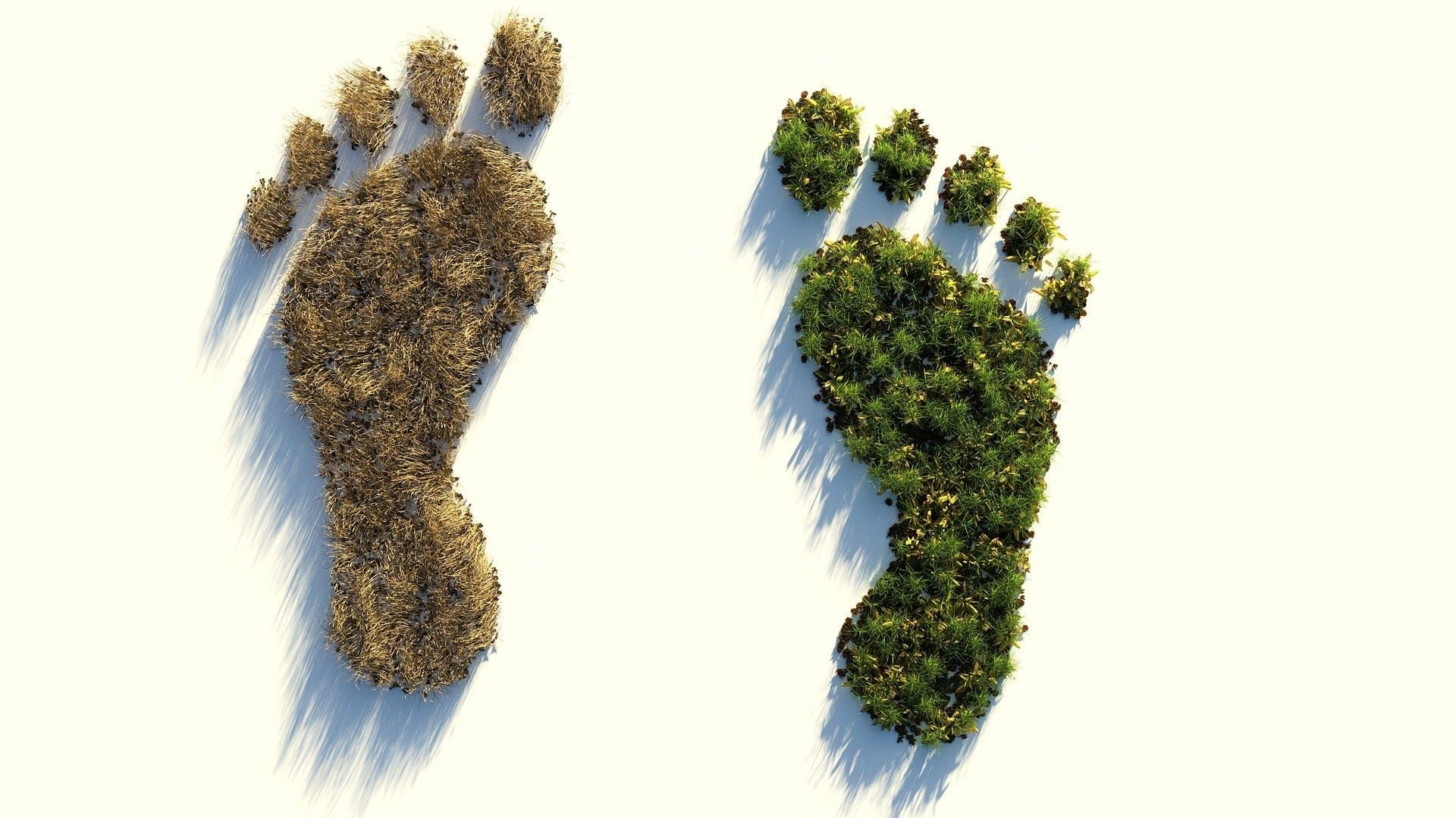 environmental footprint