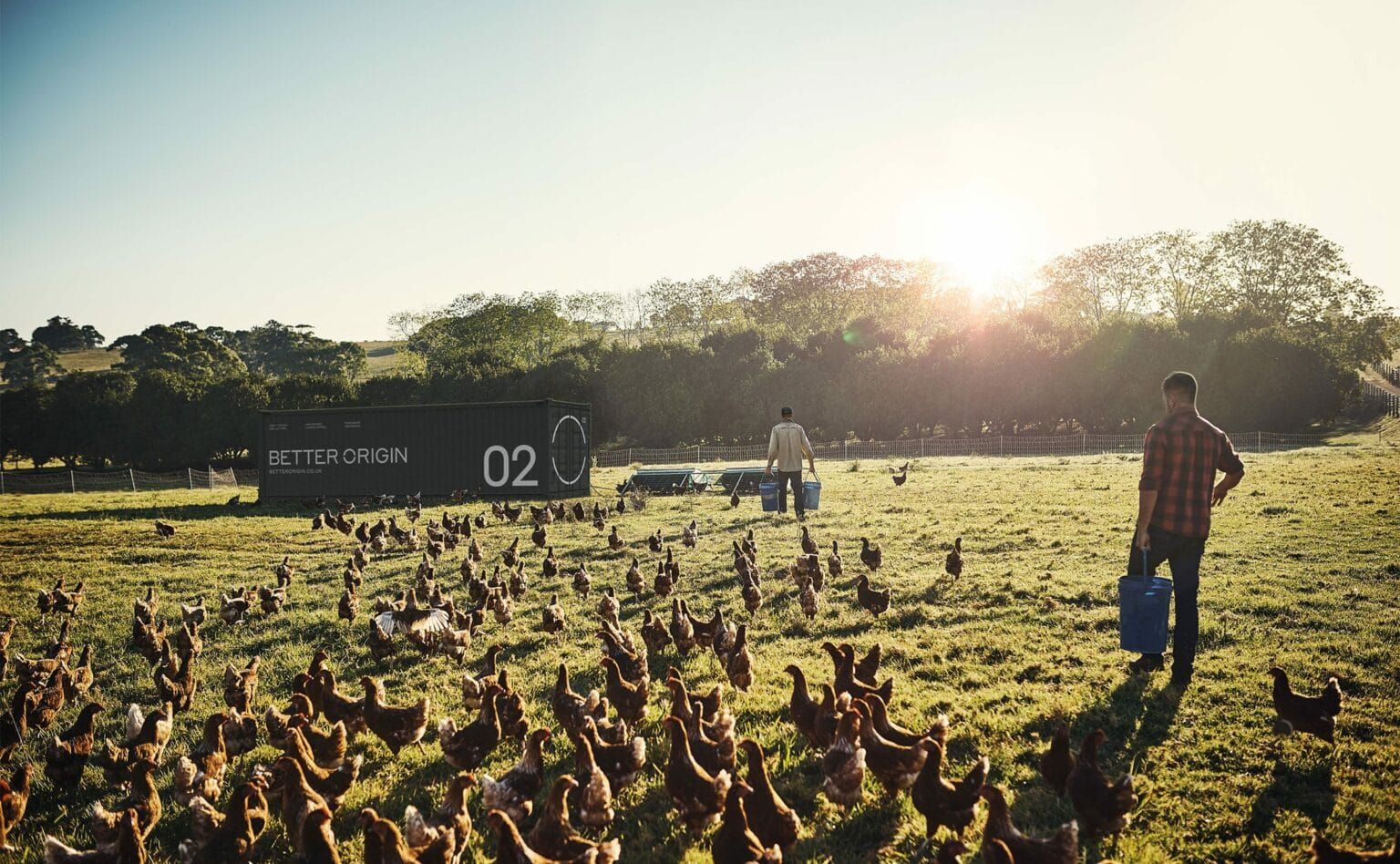 UK-based insect tech startup Better Origin raised €16M in a latest funding round led by British VC Balderton and previous inv