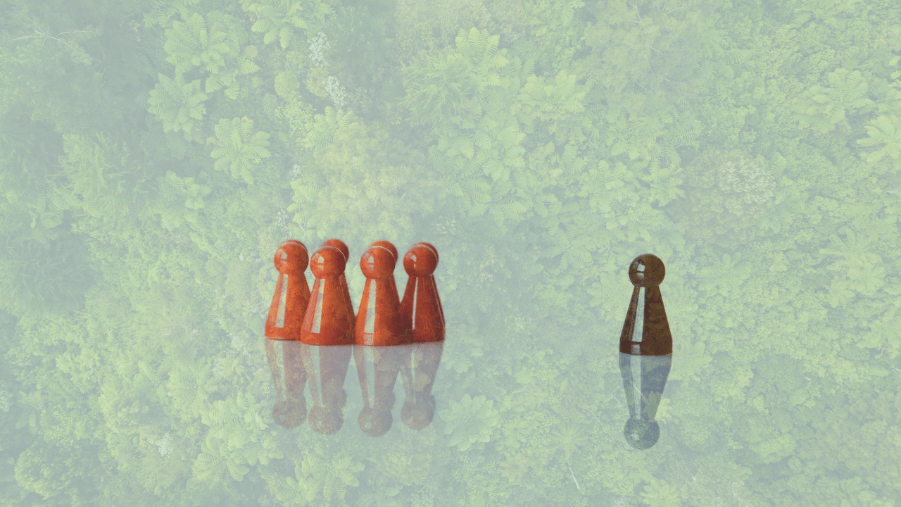 Sustainability influencers, concept Canva