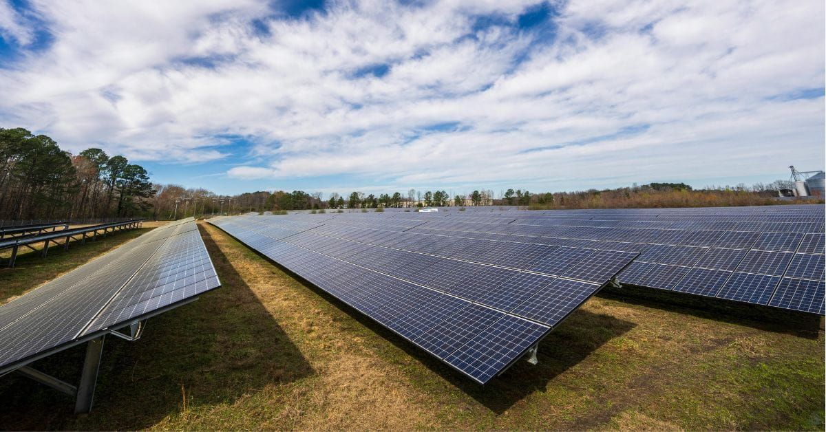 Solar panels in a field