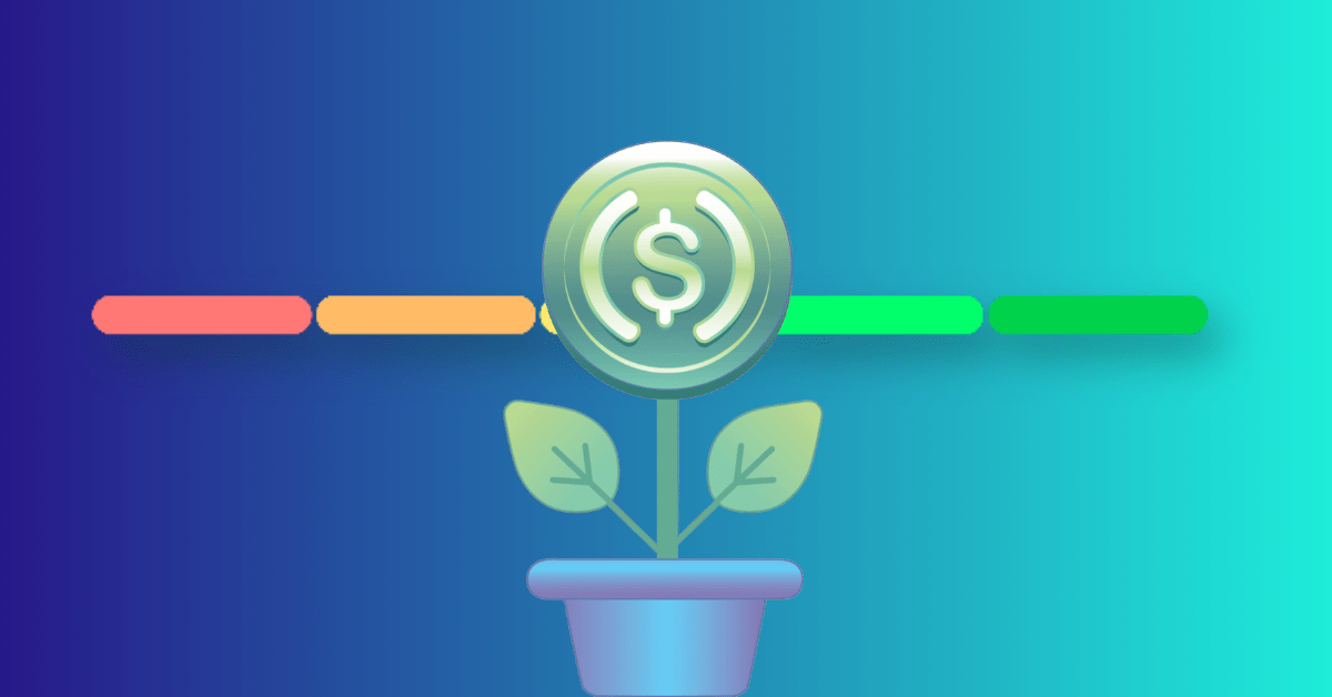 The Lean Year: Inside CEE VC Investors Playbook for 2024