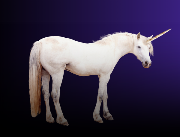CEE Startup & Tech Weekly: The Baltics Have a New Unicorn