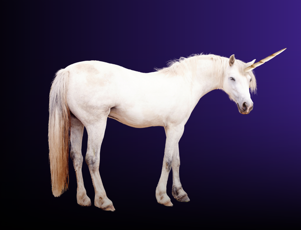 CEE Startup & Tech Weekly: Serbia Celebrates Its First Unicorn