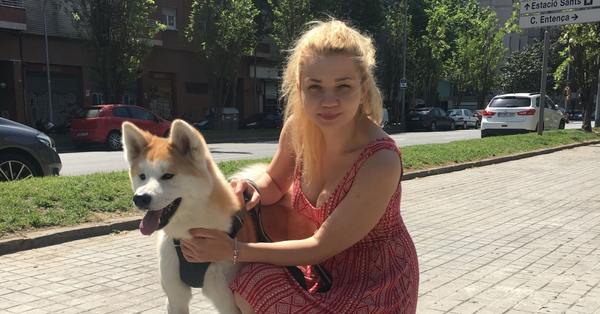 Тhe automation that helps vets take care of our pets