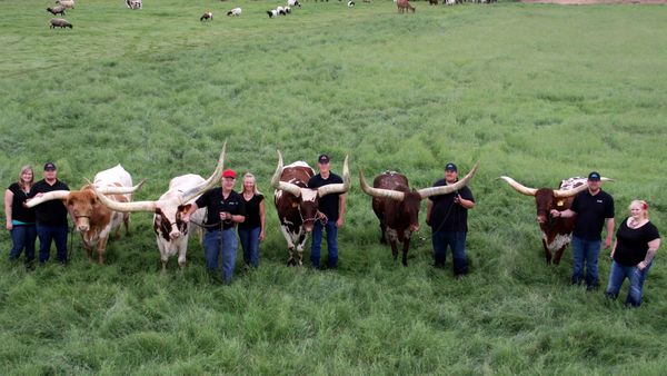 How Croatian agritech helps farmers decrease production losses and allow customers to trace the origin of their food