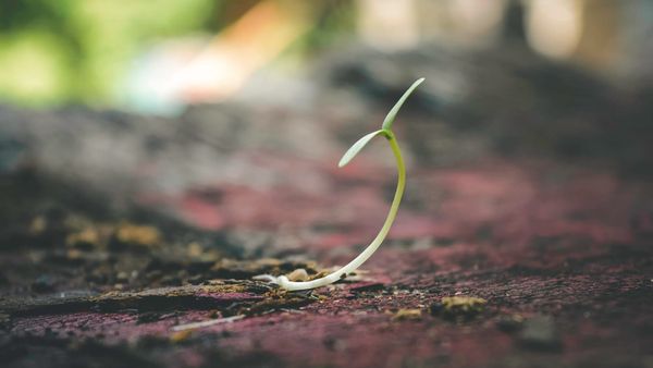 How to get sustainable finance as a green startup in the SEE