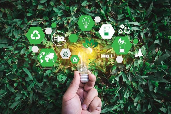 A new program in Romania supports startups to become more sustainable