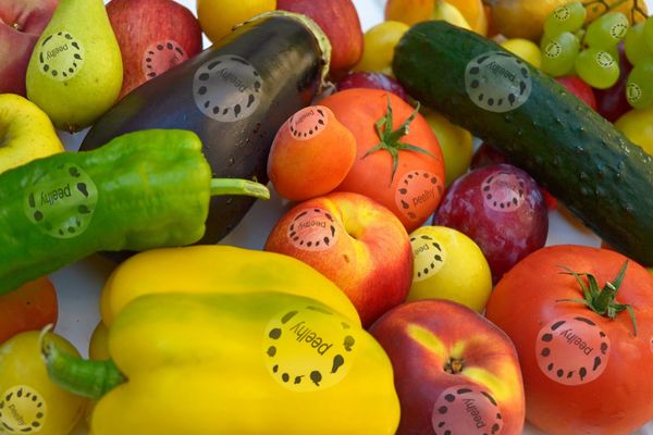 Want to eat pesticide-free fruits? Biotech solutions can help with food safety