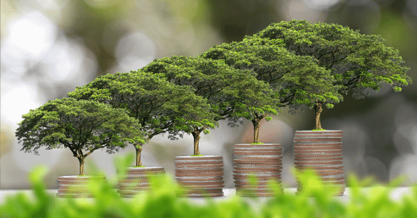 What is sustainable investing and how can startups access it?
