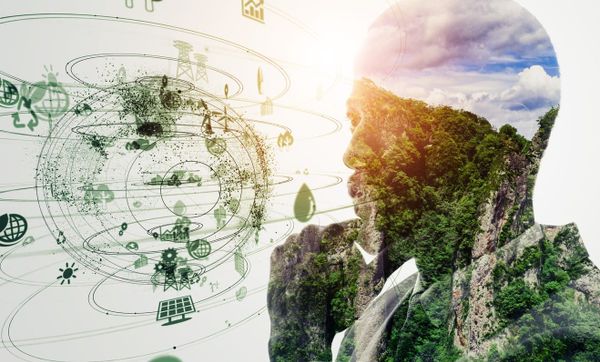 How does venture capital advance eco-innovation: Lessons from sustainability VCs