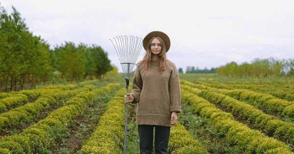 Turkish agritech Tarfin raises $8M to expand to Romania