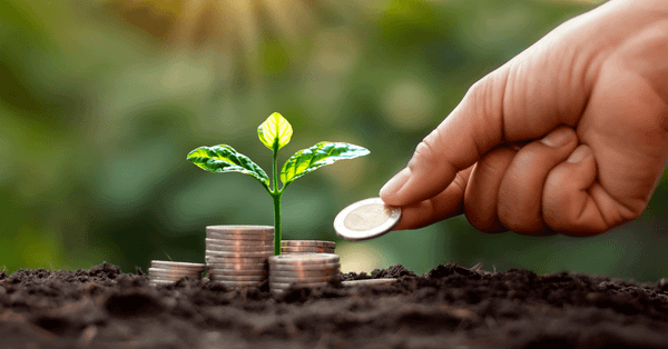 Impact Investing in CEE: How to Get on Investors’ Radar