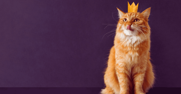 Innovative products awarded in Product Hunt’s epic annual celebration