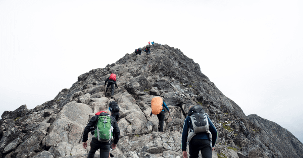 From mediators to game-changers: what does sustainability leadership entail?