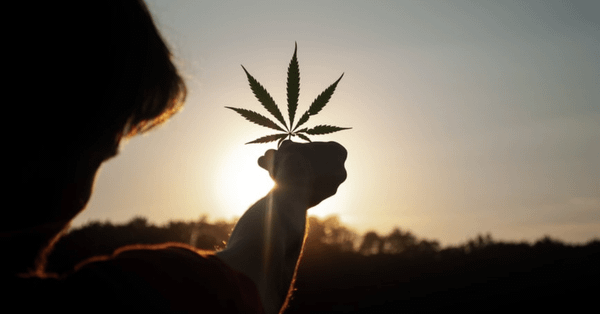 Cannabis Technology: High time in Europe?