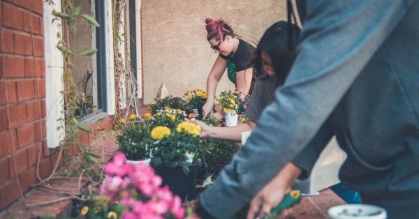 7 sustainable communities you could join in SEE