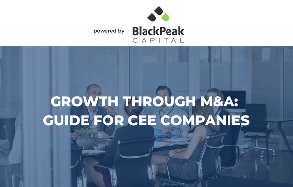 Growth through M&A: Guide for CEE Companies