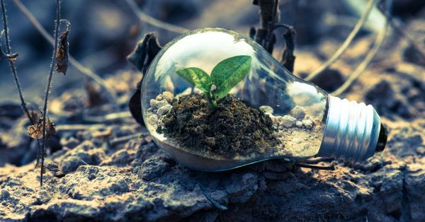 20+ Early Stage Startups from Romania for Social and Climate Impact