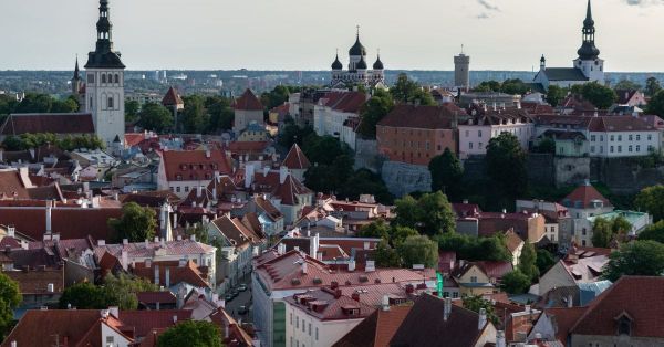 The Estonian Guide to Breeding Unicorns