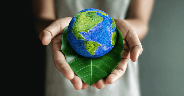 5 Sustainability Trends for Businesses in 2023