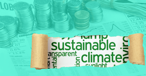 Sustainability Investors From CEE Share Their 2022 Investments and 2023 Plans