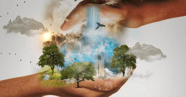 If You Were a World Leader, What Would You Do About Climate Change?