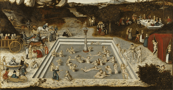 Finding the Fountain of Youth: Meet the Startups Pioneering Longevity Solutions