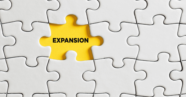 Startup Expansion Strategies for Making That Global Leap