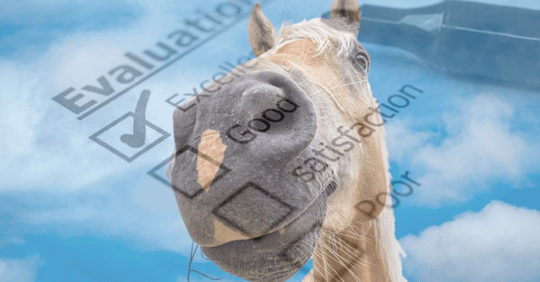 The Dead Horse Framework: How to Evaluate the Potential of a Startup