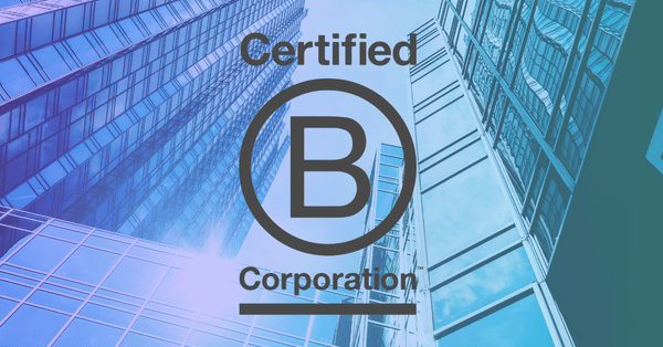20+ B Corps from CEE and Why the Movement Is Catching Roots in the Region