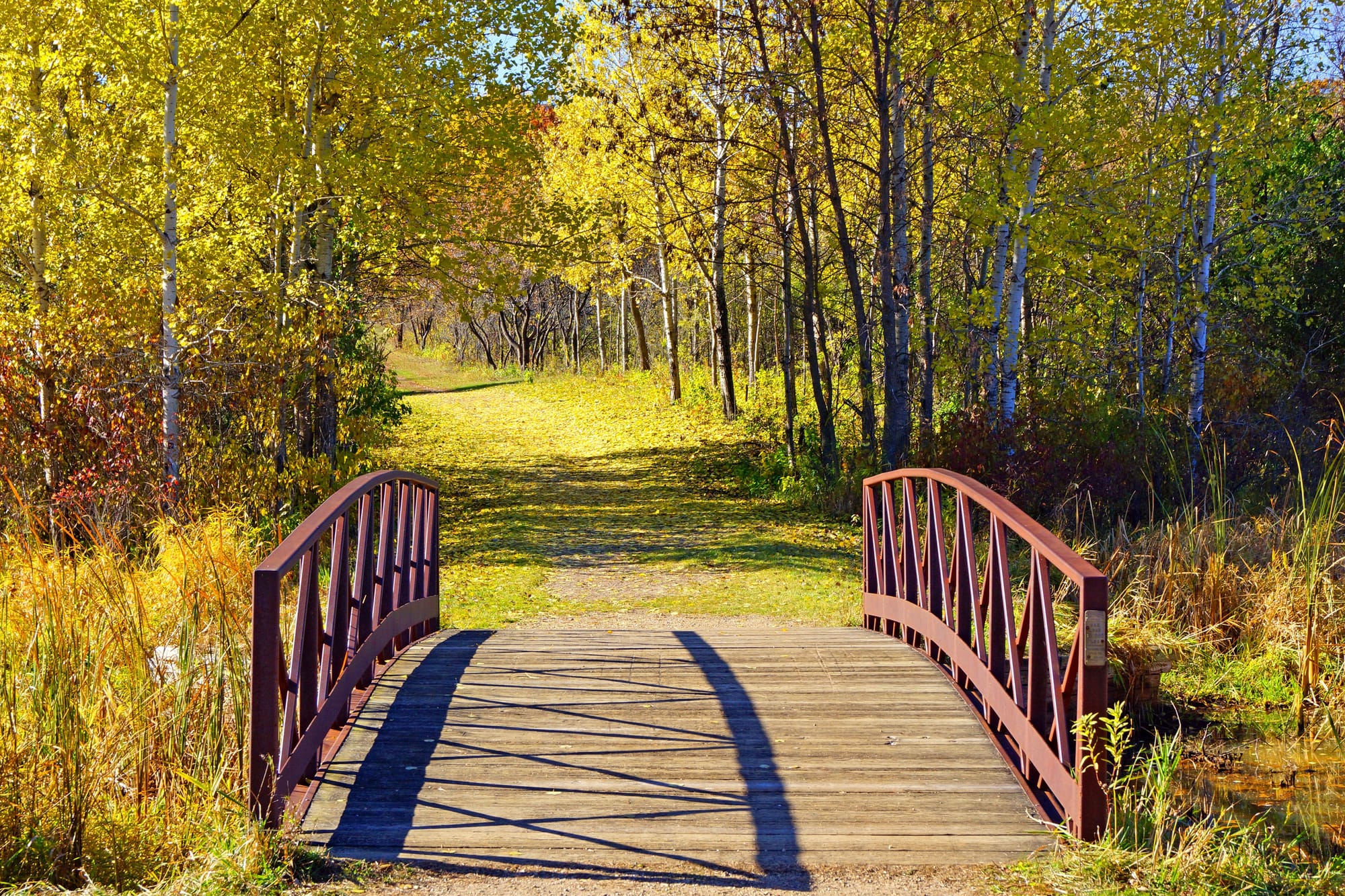 Bridge