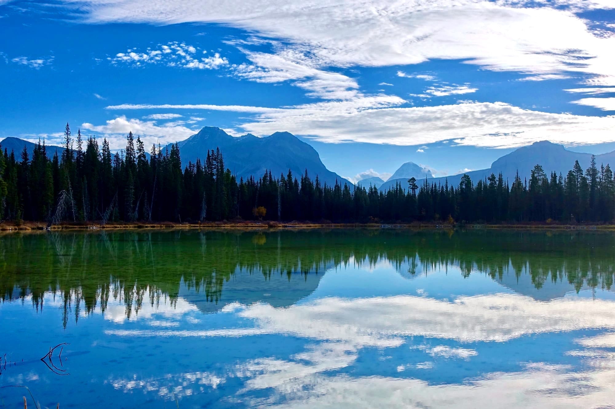 Leadership Cultivation Collective