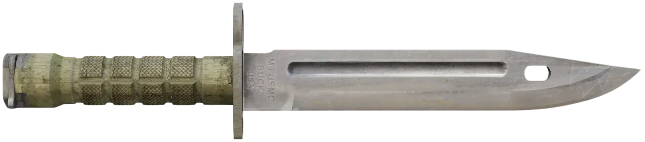 Photo showcasing Bayonet Vanilla Knife from CS2