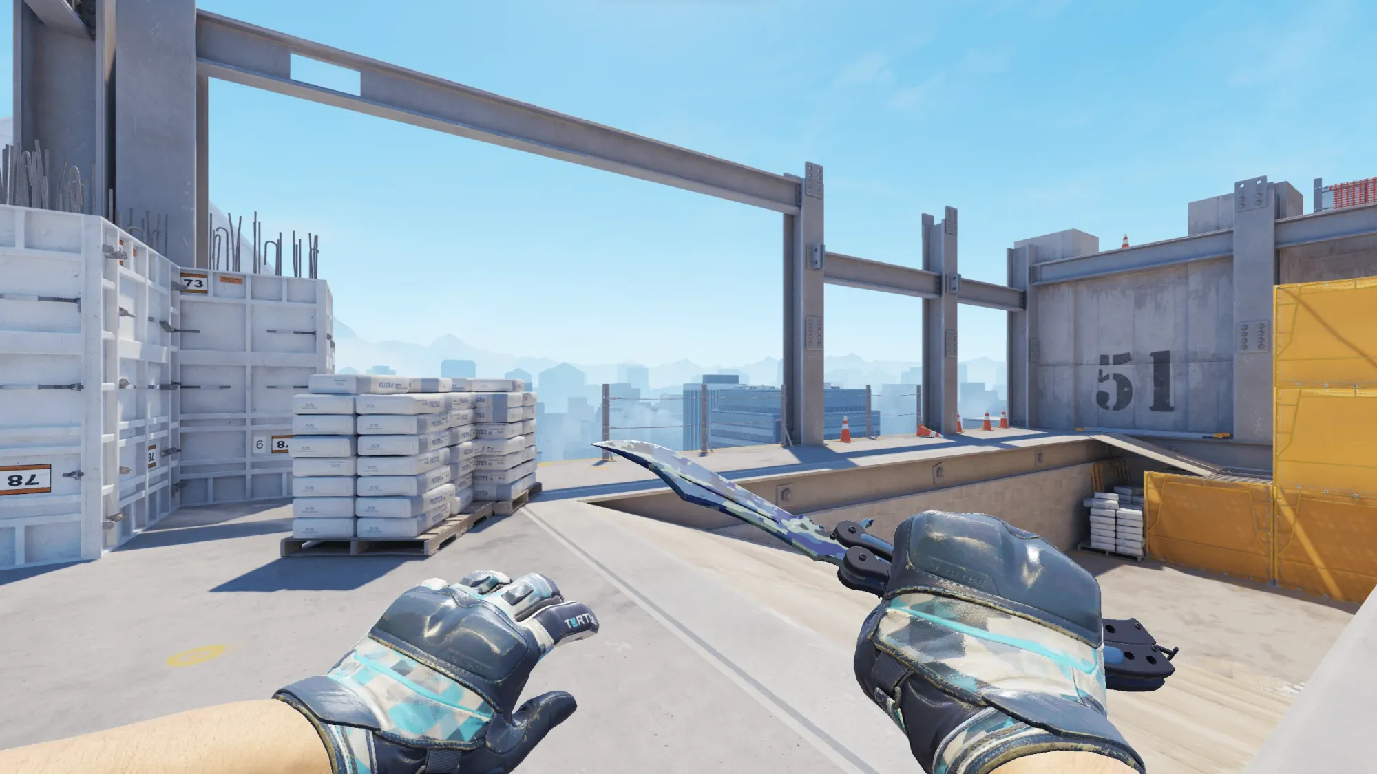 In-game image showing a CS2 knife and glove combo, highlighting the matching colors and patterns of the weapon and gloves.