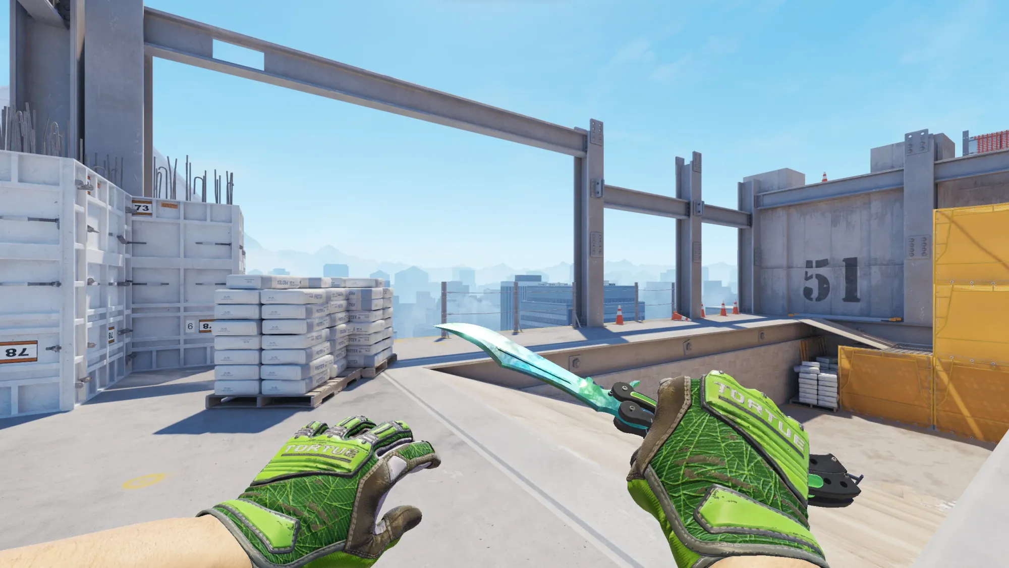 In-game image showing a CS2 knife and glove combo, highlighting the matching colors and patterns of the weapon and gloves.