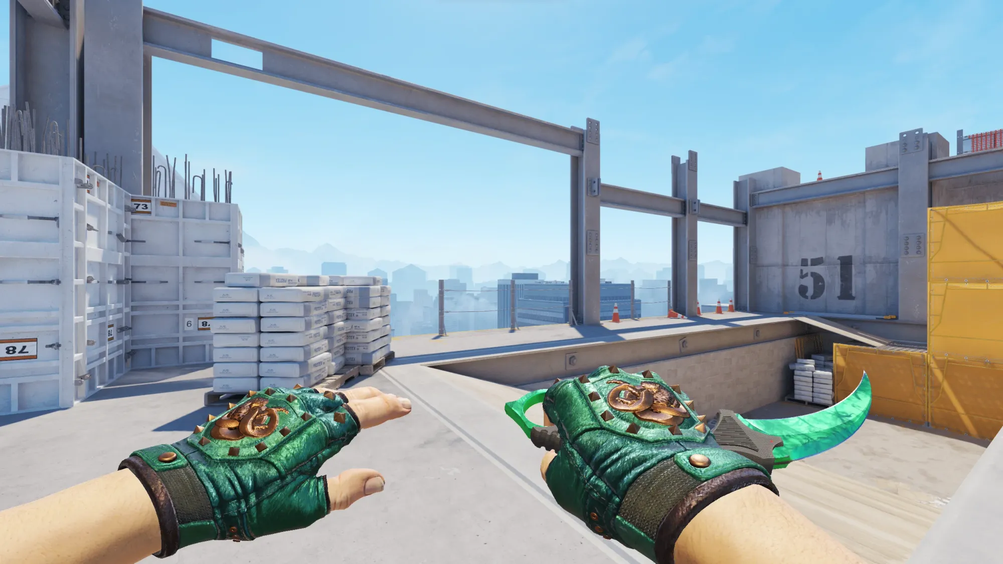 In-game image showing a CS2 knife and glove combo, highlighting the matching colors and patterns of the weapon and gloves.